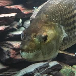 Meet your Posher, Jeffrey